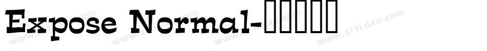 Expose Normal字体转换
